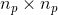 n_p \times n_p